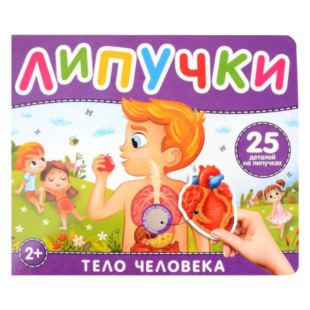 Этикет. Внешность.Гигиена. Личная безопасность, книга Тело человека. Книга с липучками купить по скидке