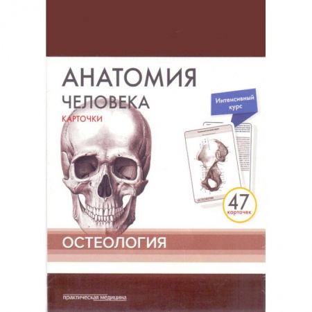 Медицинские энциклопедии и справочники, книга Анатомия человека. Остеология (47 карточек) купить по скидке