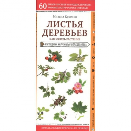 Биологические науки, книга Листья деревьев. Как узнать растение купить по скидке
