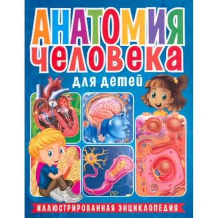 Человек. Земля. Вселенная, книга Анатомия человека для детей. Иллюстрированная энциклопедия купить по скидке