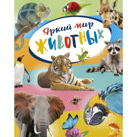 Животный и растительный мир, книга Яркий мир животных купить по скидке