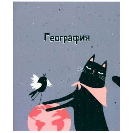 География, книга Тетрадь предметная Silly. География, 48 листов, клетка купить по скидке